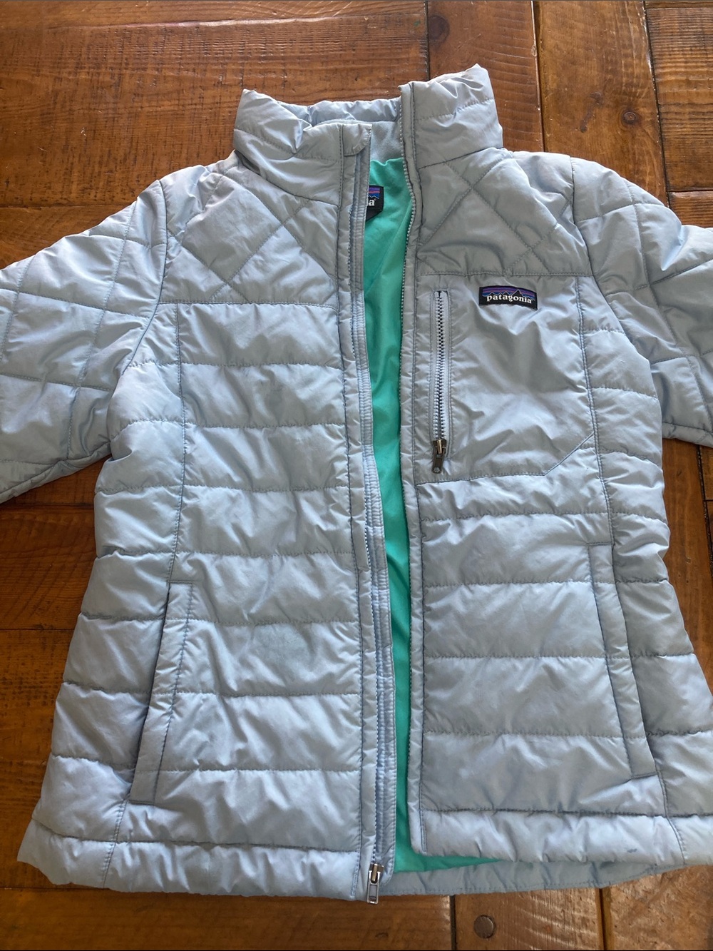 Patagonia Kids Light Blue Puffer Jacket with Green Lining